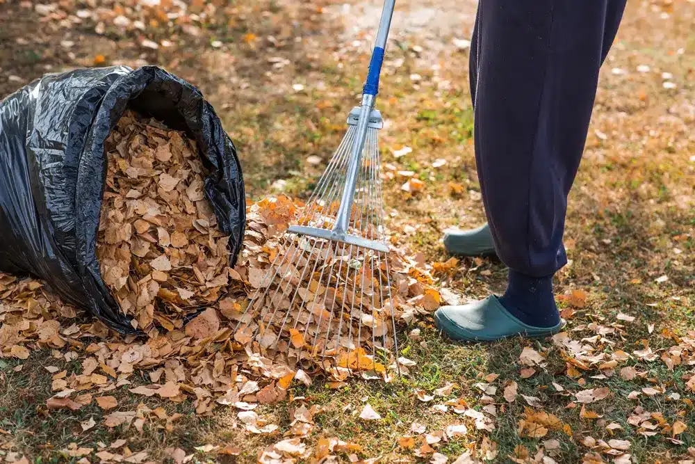 Gartenarbeit Dresden beim Kunden